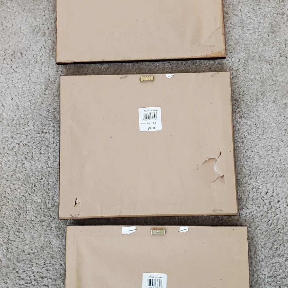 Set of 3‎ Jungle Art Framed Prints